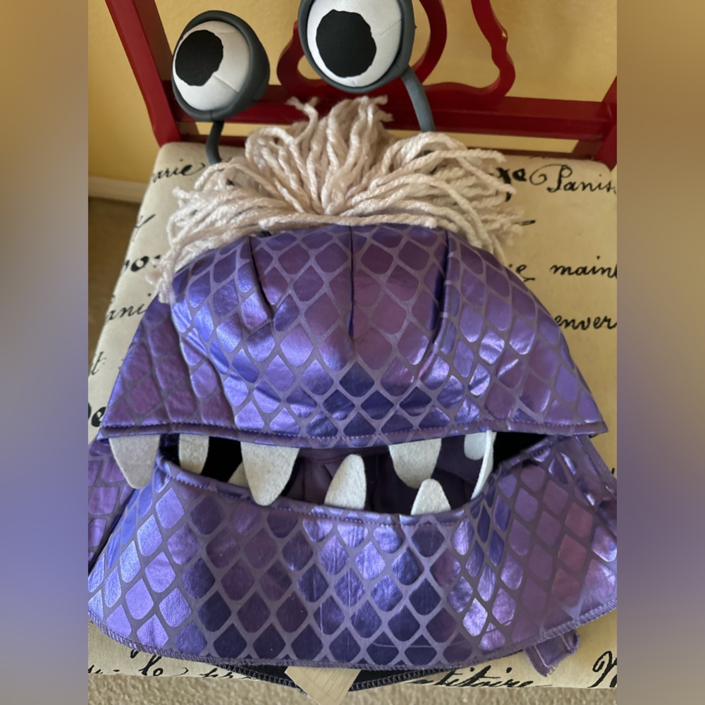 Disney Purple Monster Costume